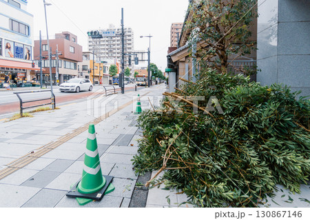 歩道に面した樹木の剪定 歩道に面した樹木の剪定 130867146