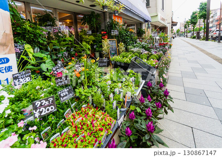 八王子市 日本フラワーの店頭 八王子市 日本フラワーの店頭 130867147