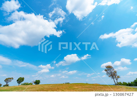 青空と雲と草原 130867427