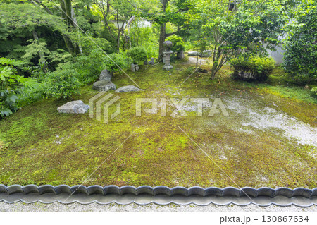 東福寺本坊庭園 八相の庭 北庭 東福寺本坊庭園 八相の庭 北庭 130867634