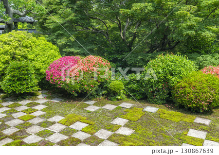 東福寺本坊庭園 北庭 小市松模様の庭園とサツキの花 東福寺本坊庭園 北庭 小市松模様の庭園とサツキの花 130867639