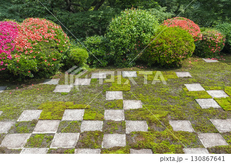 東福寺本坊庭園　北庭　小市松模様の庭園とサツキの花 130867641