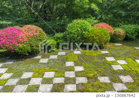 東福寺本坊庭園 北庭 小市松模様の庭園とサツキの花 東福寺本坊庭園 北庭 小市松模様の庭園とサツキの花 130867642
