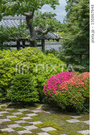 東福寺本坊庭園 北庭 小市松模様の庭園とサツキの花 東福寺本坊庭園 北庭 小市松模様の庭園とサツキの花 130867648