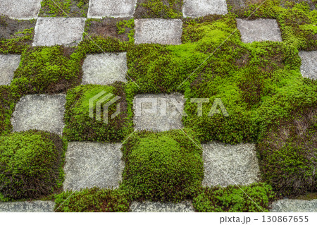 東福寺本坊庭園 北庭 小市松模様の庭園 東福寺本坊庭園 北庭 小市松模様の庭園 130867655