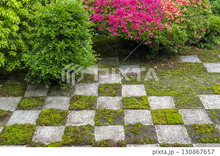 東福寺本坊庭園 北庭 小市松模様の庭園とサツキの花 東福寺本坊庭園 北庭 小市松模様の庭園とサツキの花 130867657