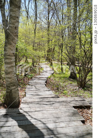 森の散歩道 130869018