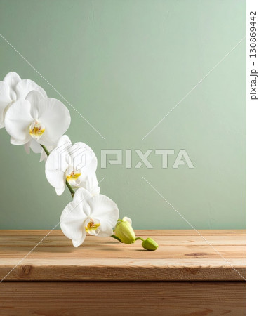 A single white phalaenopsis orchid blossom with delicate petals, isolated against a simple wooden background A single white phalaenopsis orchid blossom with delicate petals, isolated against a simple wooden background 130869442