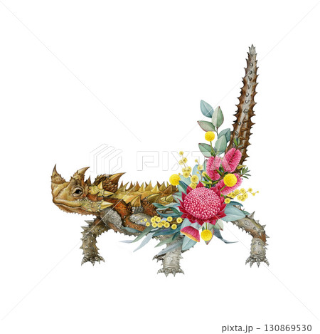 Thorny devil lizard with floral decor drawn vintage style illustration on white background. Moloch horridus Australia native wildlife dessert reptile. Thorny lizard with Australian flora decoration 130869530