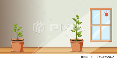 Two Potted Plants Indoors with Sunlight from Window Two Potted Plants Indoors with Sunlight from Window 130869902