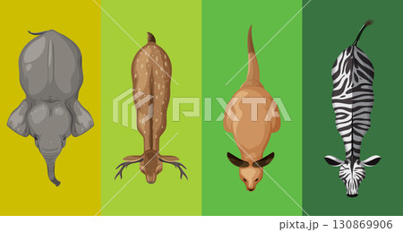 Top View of Diverse Animals 130869906