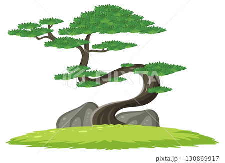 Curved Bonsai Tree with Rocks on Grassy Ground 130869917