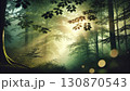 霧に包まれた森 130870543