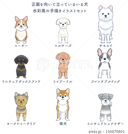 手描き犬のイラスト b5 いぬ　絵 様々な犬種の手描きイラストセットのイラスト素材 [74930489] - PIXTA