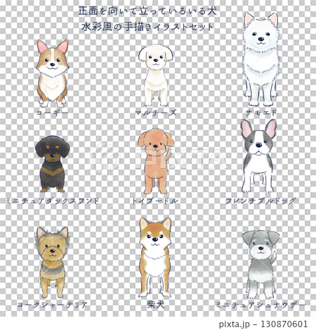 正面を向いて立っている犬の水彩風の手描きイラストセットのイラスト
