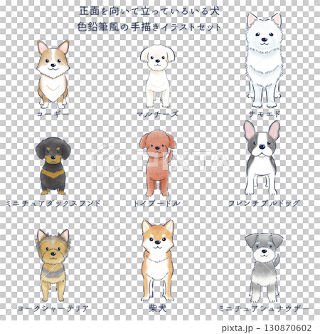 正面を向いて立っている犬の色鉛筆風の手描きイラストセット 130870602