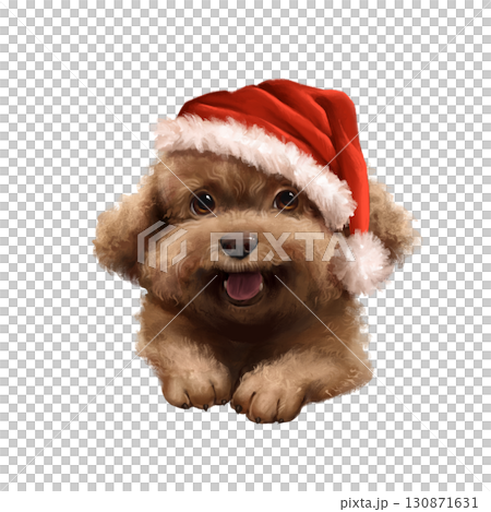 Hand-drawn illustration of an adorable, fluffy brown dog wearing a festive red Santa hat. This cute and charming design is perfect for Christmas and holiday-themed products and greetings 130871631
