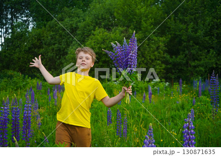 The image captures a cheerful boy in yellow, standing in a beautiful lupine-filled landscape. 130871635