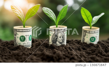 Money growing in the soil, symbolizing investment and prosperity. Money growing in the soil, symbolizing investment and prosperity. 130871647