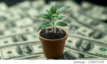A small plant in a pot surrounded by currency notes, symbolizing growth. 130871703