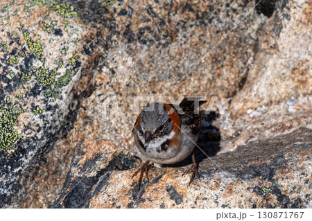 Hiking the W-Trek in Torres Del Paine 130871767