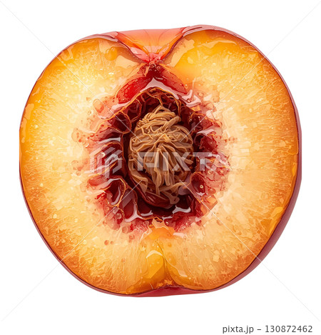 桃 断面のイラスト 桃 断面のイラスト 130872462