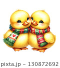 Two cute yellow ducklings wearing festive scarves, white isolated background. 130872692
