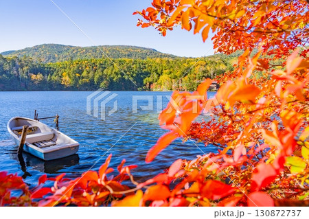 《長野県》白駒池・湖畔の紅葉 130872737