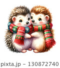 Two adorable hedgehogs with cozy scarves, isolated on white background. 130872740