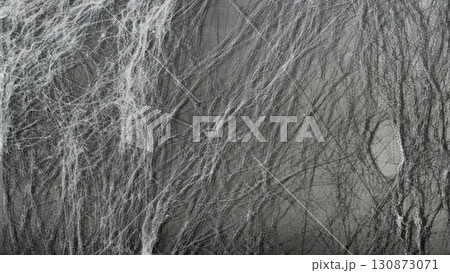 Spooky and creepy cobweb or spider web in the black wall background. The scene is scary and mysterious. Copy Space. Wallpaper or abstract Halloween or zombie background 130873071