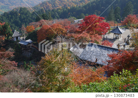 Autumn @west area，Kyoto / 京都西山・善峯寺を包み囲む秋の紅葉の始まった山々 130873483