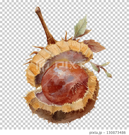 秋葉和栗子 130873486