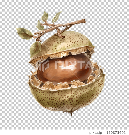 秋味栗子果 130873491