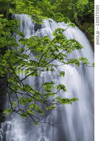 新緑に包まれた滝 新緑に包まれた滝 130873505