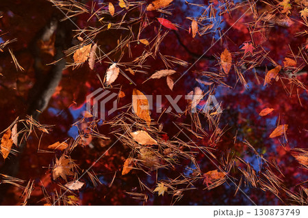 池に浮かぶ紅葉した葉っぱ 130873749