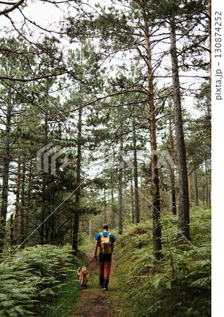 Man walking with a German Shepherd dog on a forest trail in Divcibare, Serbia. Rear view. Hiking and travel with pet concept Man walking with a German Shepherd dog on a forest trail in Divcibare, Serbia. Rear view. Hiking and travel with pet concept 130874252