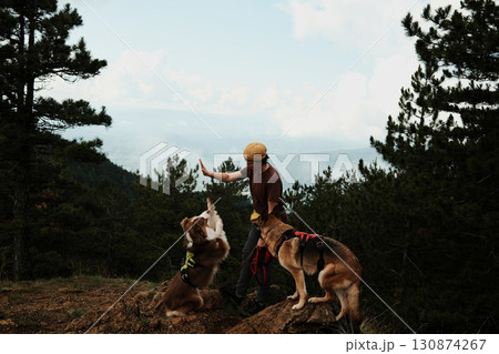 Woman training her Australian Shepherd while German Shepherd watches during a mountain hike in Divcibare, Serbia. Hiking with pets concept Woman training her Australian Shepherd while German Shepherd watches during a mountain hike in Divcibare, Serbia. Hiking with pets concept 130874267
