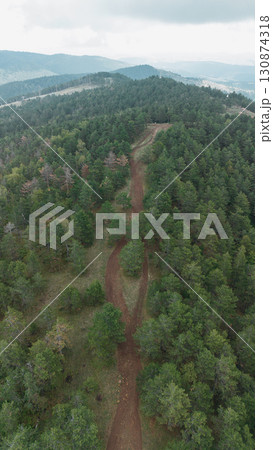 Aerial view of a forest trail winding through the green hills and ski slopes at the distance. Divcibare, Serbia 130874318
