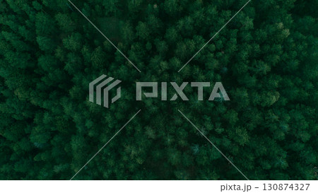 Top-down drone view of dense green forest in Divcibare, Serbia, showing rich natural wilderness. Minimalistic natural background 130874327