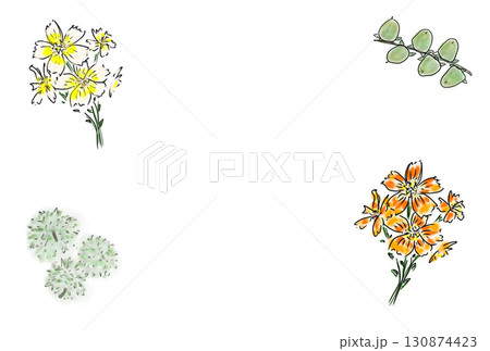 豆柿と栗と秋桜とフレームイラスト 130874423