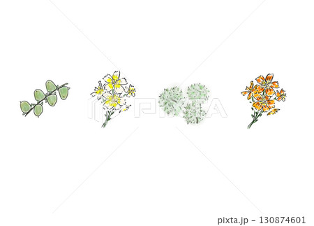豆柿と栗と秋桜と花びらフレームイラストB 130874601