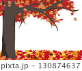 紅葉した木と下に落ちている毬栗 130874637