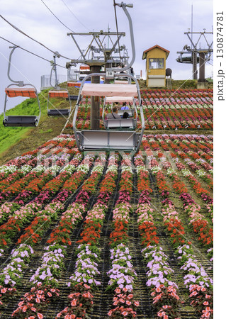 茶臼山高原のリフトとカラフルなサンパチェンスの花畑 茶臼山高原のリフトとカラフルなサンパチェンスの花畑 130874781