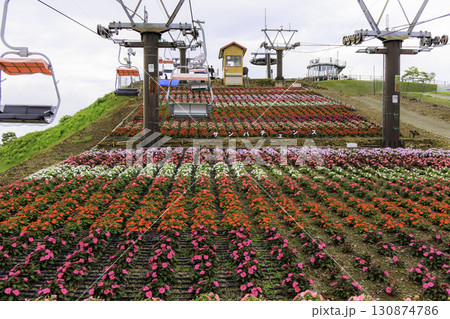 茶臼山高原のリフトとカラフルなサンパチェンスの花畑 茶臼山高原のリフトとカラフルなサンパチェンスの花畑 130874786