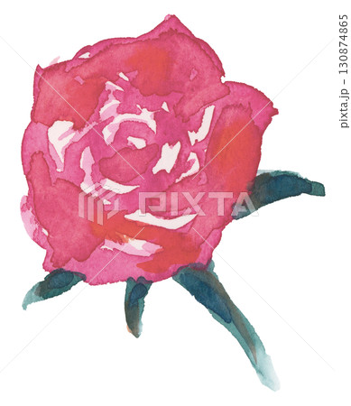水彩で描いた薔薇のイラスト 130874865
