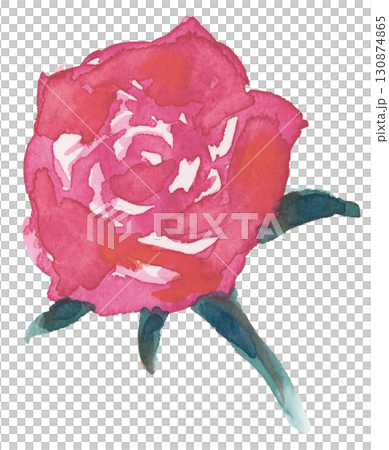 水彩で描いた薔薇のイラスト 130874865