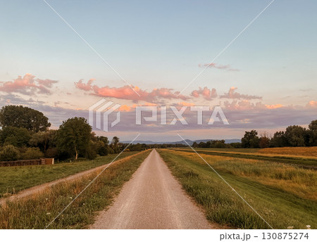 Road with a few trees in the background and a cloudy sky 130875274