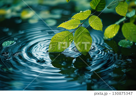 Group of green leaves with drops of water on them. Group of green leaves with drops of water on them. 130875347