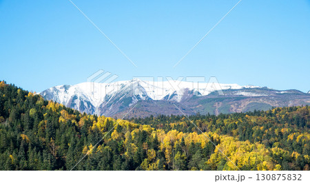 秋の北海道国道273号線からの大雪山系側を見た時の風景 130875832