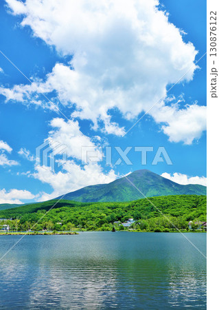 長野県　青空の白樺湖からの蓼科山 130876122